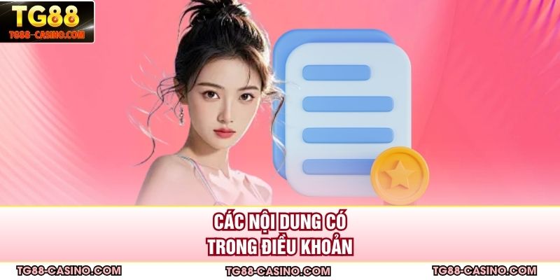 Các nội dung có trong điều khoản